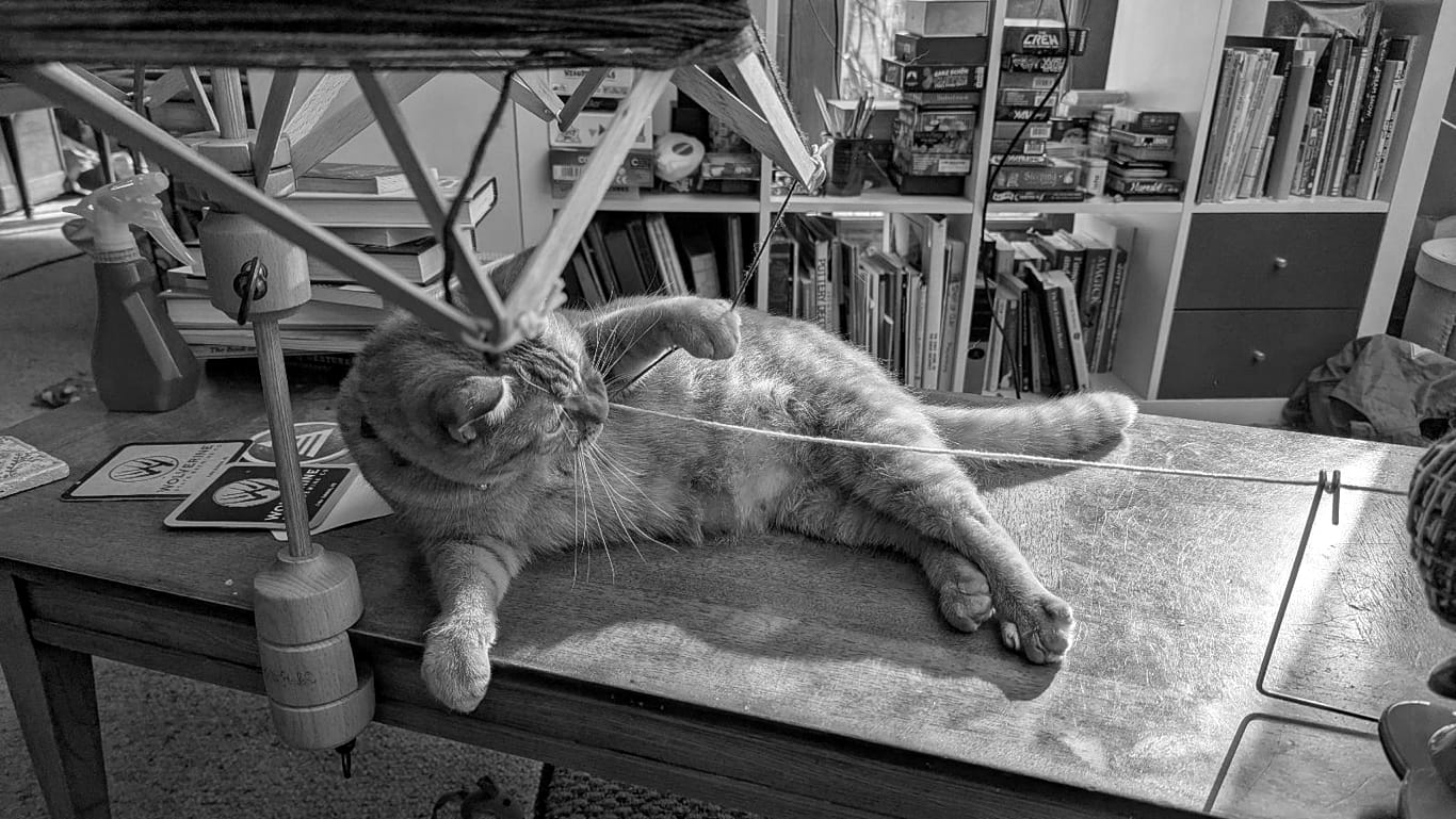 A ginger cat lying on a table chewing on some wool that is being wound around her