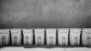 A row of plastic wheelie bins against a plain wall