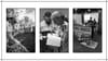 A collage of Ana Vizcaino at Finca Esperanza, cupping coffee, and with Two Birds Coffee