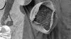 An open sack of coffee with green beans visible, with more coffee on the ground beside it.