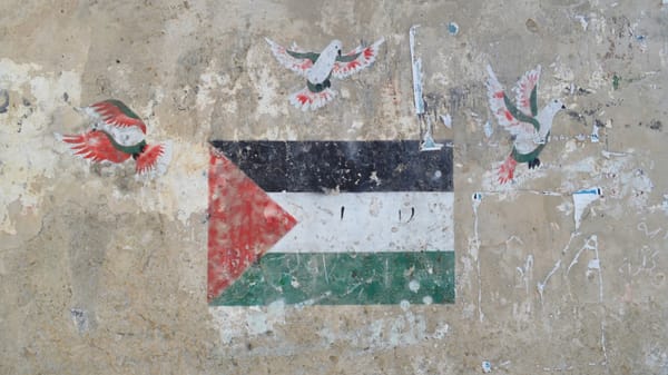 A mural on a wall of a Palestinian flag surrounded by doves